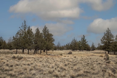 6673 SW Prospect View Dr, Culver, OR 97734 - photo 3