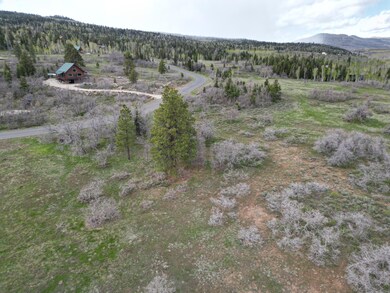 DJI_0585