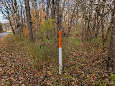 0 Ryan Rd, Williamstown, NY 13493 - photo 3