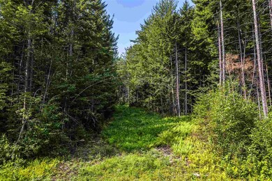 06 Turtle Hill Rd unit 6, Ludlow, VT 05149 - photo 7