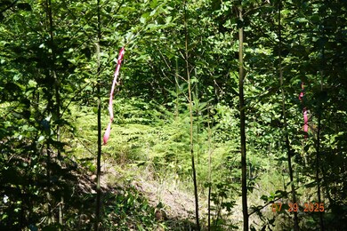 1 Duncan Creek Rd, Stevenson, WA 98648 - photo 7