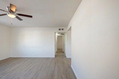 Belair-6