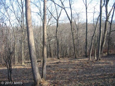 4875 River Rd, Shepherdstown, WV 25443 - photo 7