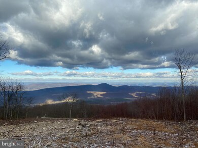 346 S Branch Mountain Rd, Moorefield, WV 26836 - photo 7