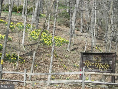 0 Sideling Mtn 93a unit WVMO116038, Great Cacapon, WV 25422 - photo 5