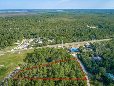 Lushly vegetated 1.15 acre home site in Hammock Sh
