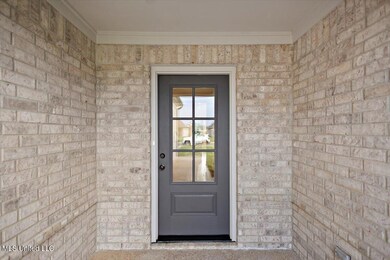 13829 Wesley Banks Blvd, Olive Branch, MS 38654 - photo 4