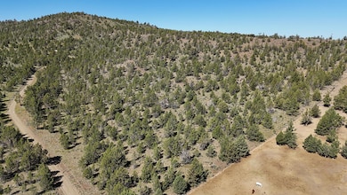 Dans Riverside Ranch Property 03
