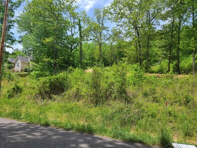 hudlow Loop Road 1