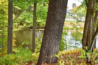 Larrys Lodge pond