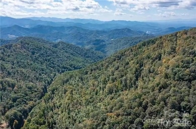 1201 Simms Fork Rd, Burnsville, NC 28714 - photo 5