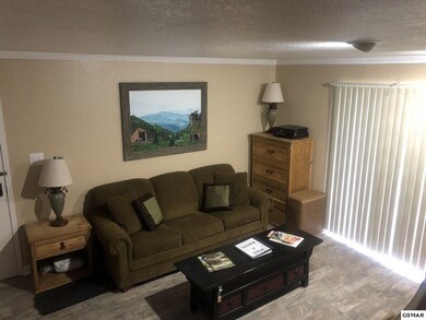 Additional View 5