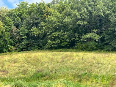 8154 Elda Ct, Dubuque, IA 52003 - photo 5