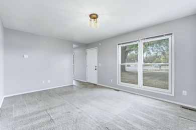 6305 Bluffton Rd, Fort Wayne, IN 46809 - photo 4