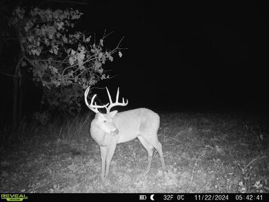 5043 State Highway J, Stockton, MO 65785 - photo 4