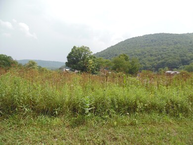 180 Fassifern Fields Rd, Slatyfork, WV 26291 - photo 3