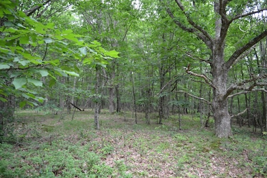 6299 Edray Rd, Cass, WV 24927 - photo 7