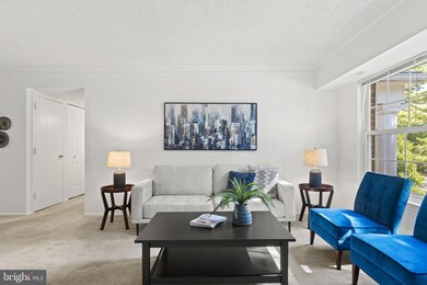 7680 Tremayne Place unit 305, McLean, VA 22102 - photo 6