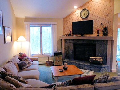 132 Sugar Brook Rd unit A4, Peru, VT 05152 - photo 3