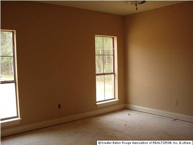 Double Windows in the Master Bedroom
