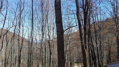 0 Wolf Laurel Heights unit Lot 12 3451434, Burnsville, NC 28714 - photo 4