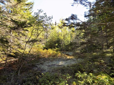 moss covered granite out croppings