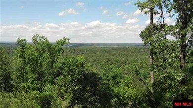 Pt of Lot 10 Mc 8072, Flippin, AR 72634 - photo 6