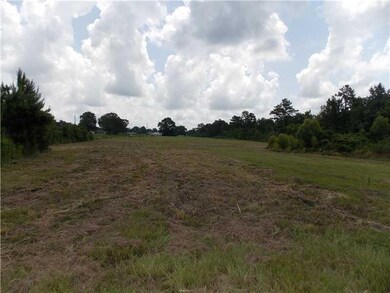 45024 Sundance Ln, Franklinton, LA 70438 - photo 2