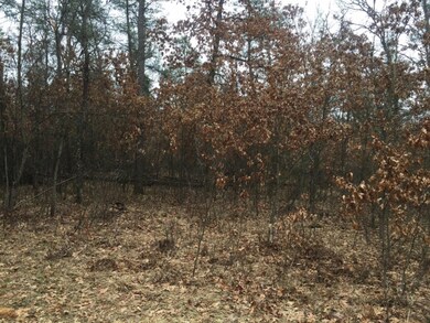 Taghon Woods