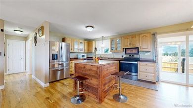 12626 N 1st St, Parker, CO 80134 - photo 4