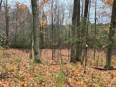 ON Sunset Rd, Elcho, WI 54428 - photo 7