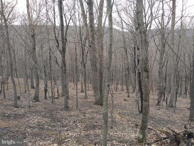 6.42 ACRES Mount Top Rd, Lost River, WV 26810 - photo 6
