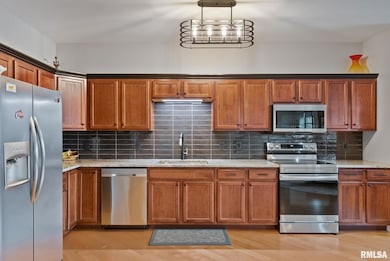 110 19th St unit 313, Rock Island, IL 61201 - photo 3