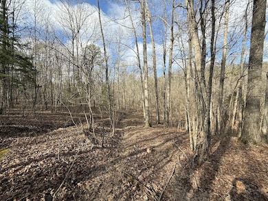 000 Ottofy Way, Eminence, MO 65466 - photo 2