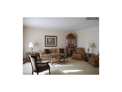 Spacious Living Room