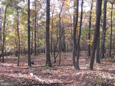 0 Spring Gap Rd unit 1004622236, Slanesville, WV 25444 - photo 4