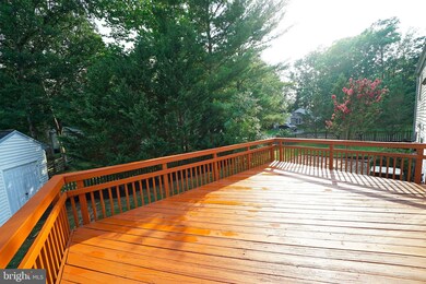 4523 Cub Run Rd, Chantilly, VA 20151 - photo 4