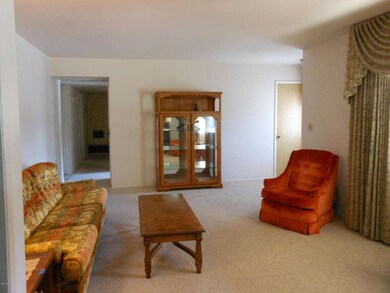 Living Room, Berber Carpet