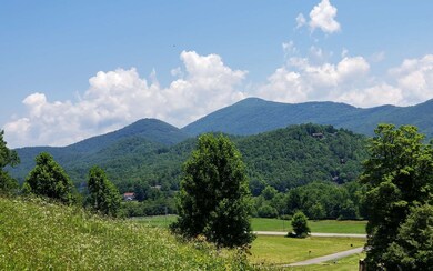 Additional View