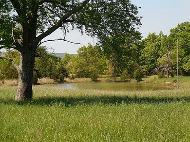 13366 Green Rd, West Fork, AR 72774 - photo 2