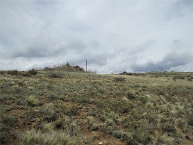 129 Ouray Trail, Como, CO 80432 - photo 3