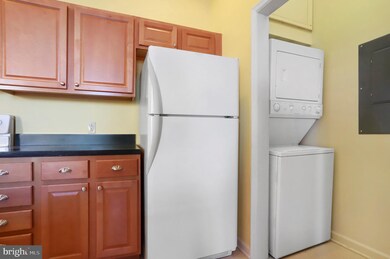 138 E Antietam St unit 308, Hagerstown, MD 21740 - photo 6