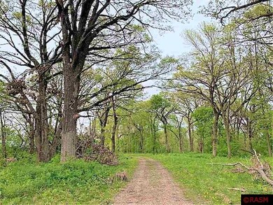 0 Xxx S Herbert St unit 7029338, Waterville, MN 56096 - photo 4