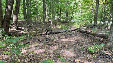 1070 E Mohican Trail, Greensburg, IN 47240 - photo 3