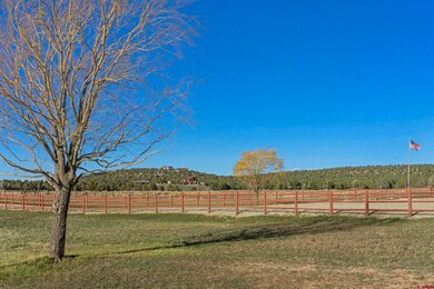 1302 44zn Rd, Norwood, CO 81423 - photo 6