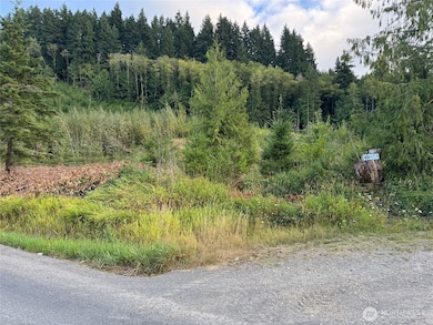 Lot 4 from Skinner Rd