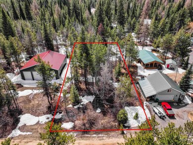 203 Wagon Wheel Ln, Donnelly, ID 83615 - photo 4