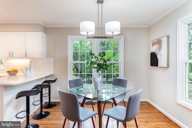 4612 4th Rd N, Arlington, VA 22203 - photo 4