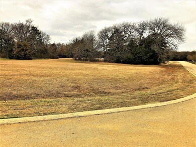 Lot 13E Dublin Cir, Gordonville, TX 76245 - photo 4