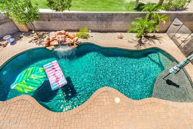 Backyard Oasis